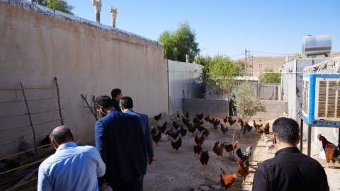 خدمت بی‌واسطه در دیار ایثار؛ سفر مدیرکل کمیته امداد کرمانشاه به سرپل‌ذهاب