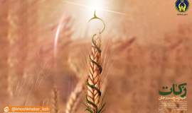 زکات کمیته امداد